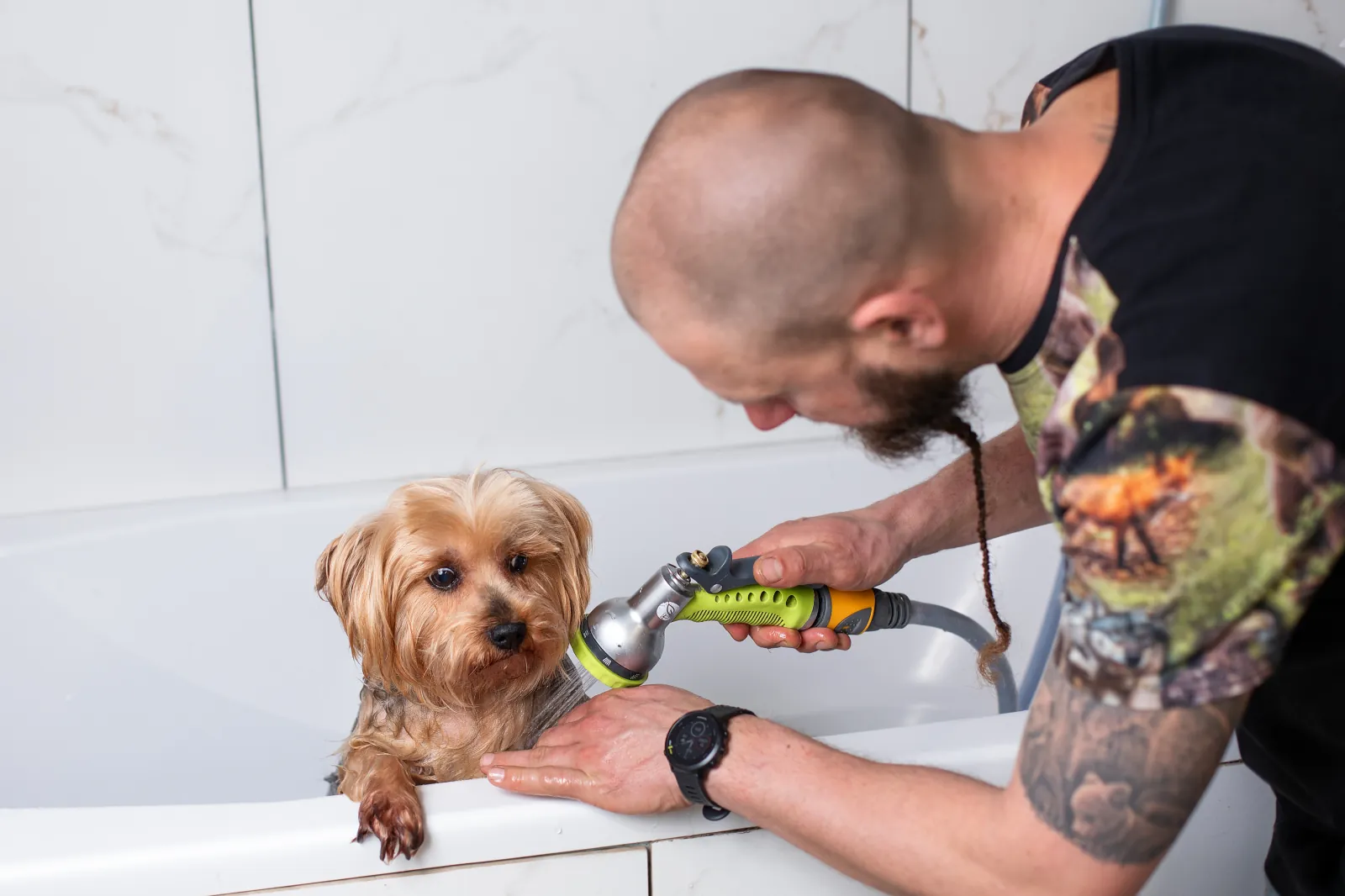 Szkoła groomingu Perros