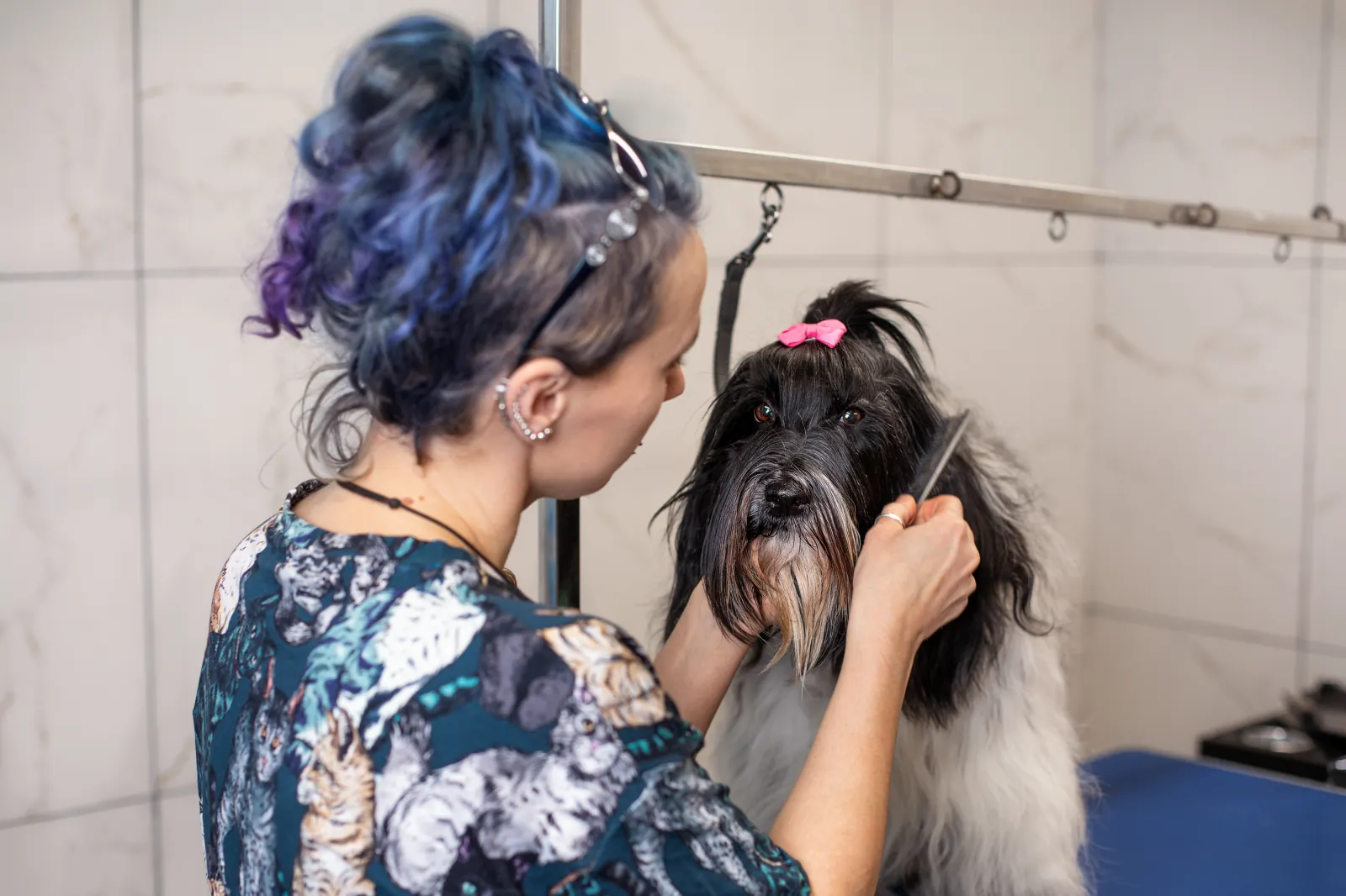 Salon Perros w Krakowie