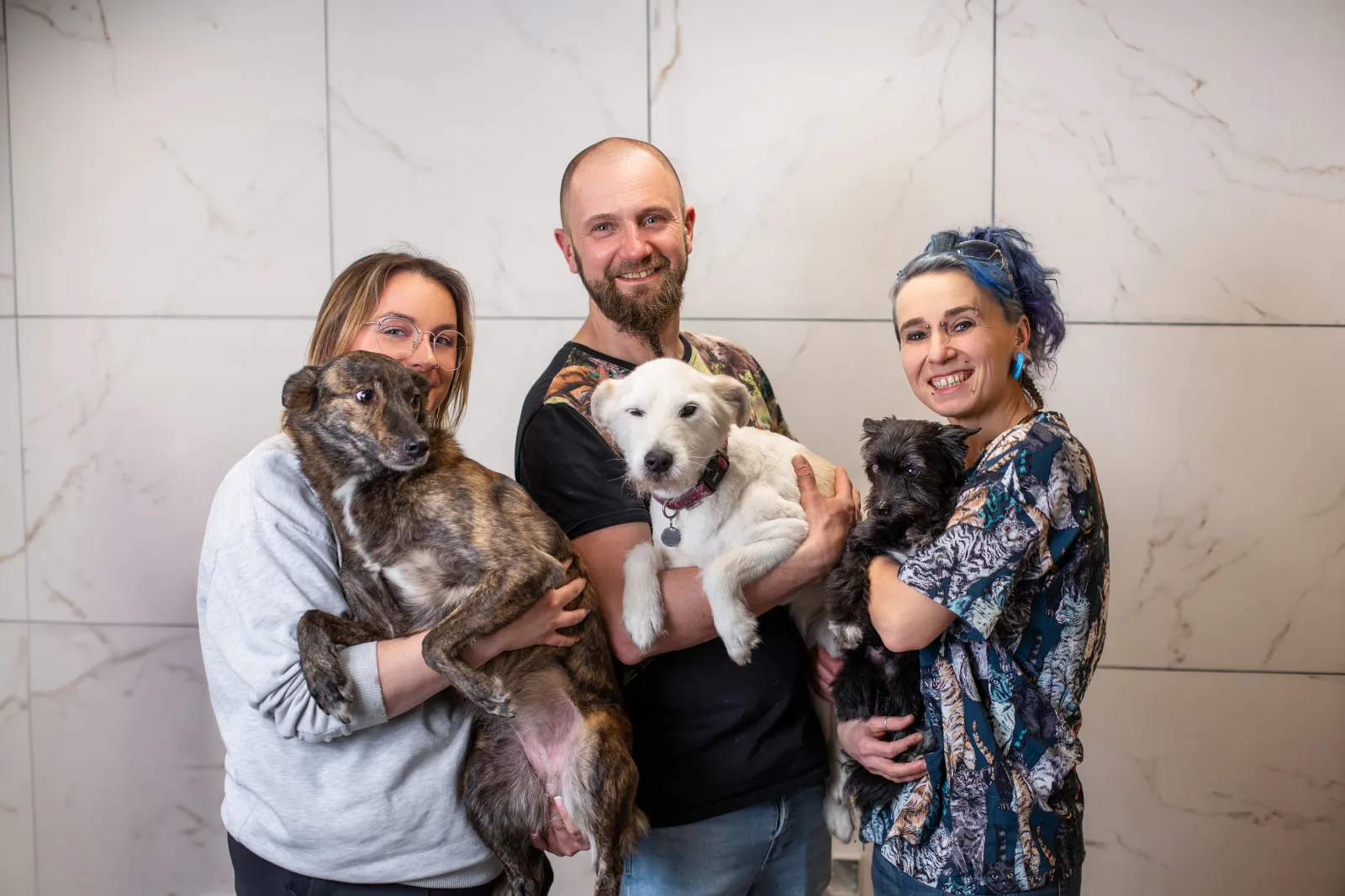 Pielęgnacja psa w Perros