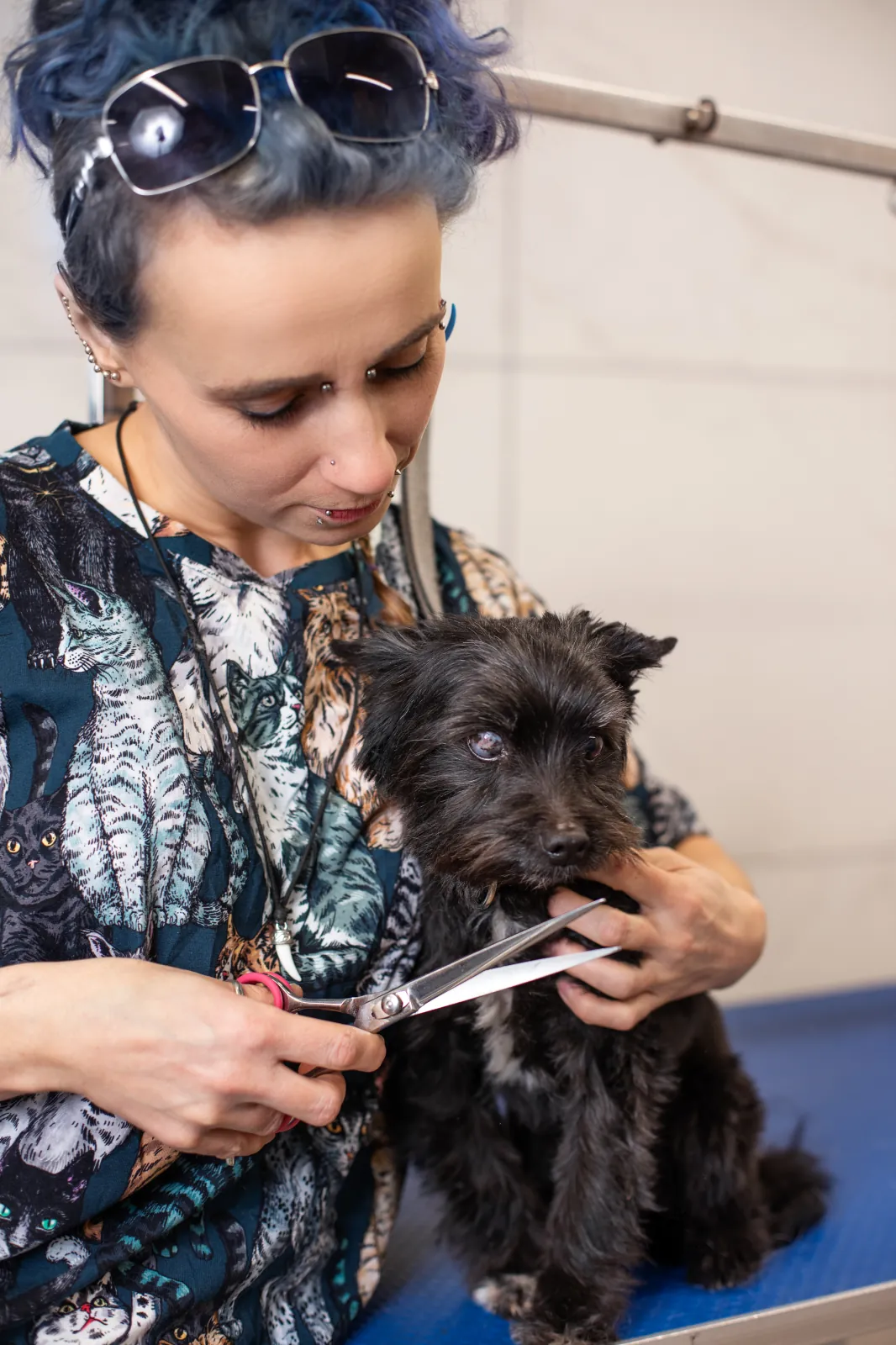 Salon groomerski Perros w Krakowie