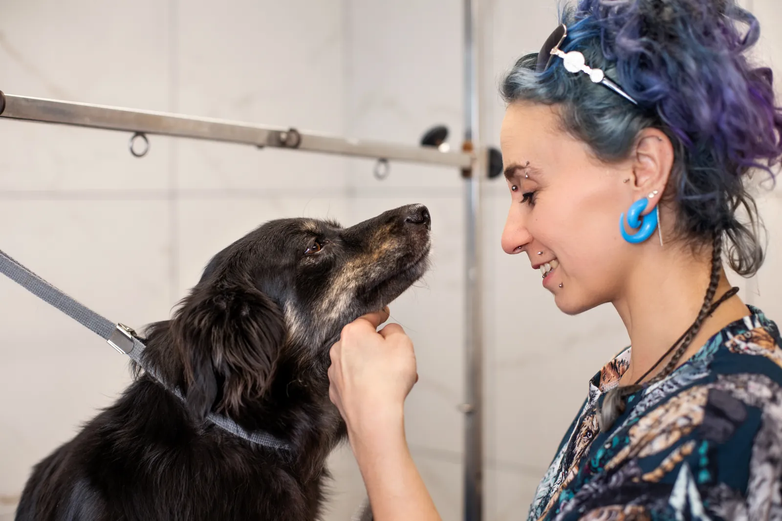 Salon groomerski Perros